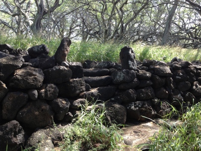 Foundation of a heiau in the abandoned settlement of Haena, with steps marked by two lava rock posts leading to the platform.